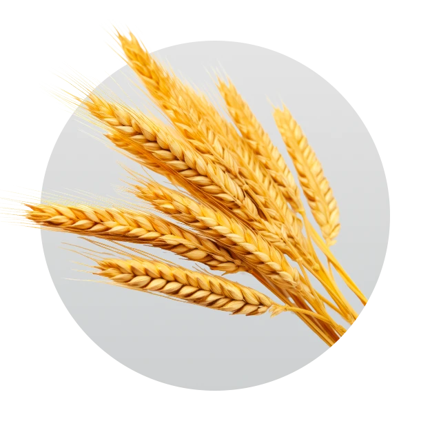 Agriculture