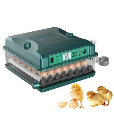 Couveuse automatique électrique solaire 100 œufs